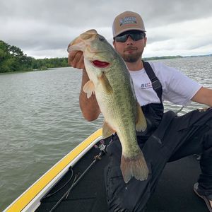 Meet your Posher, Buck